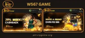 W567 Game