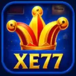 XE77 Game