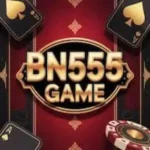 BN555 Game