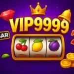 vip9999 game