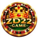 ZD22 Game